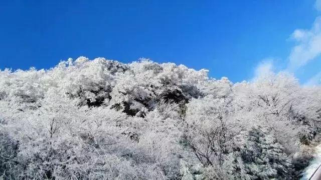 嘉日单词