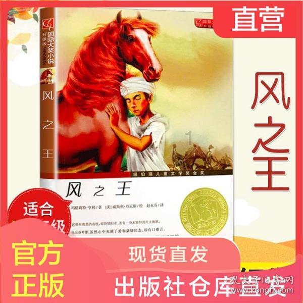 系带夏装