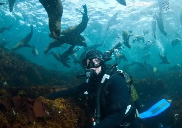 人鱼公主温泉疗养