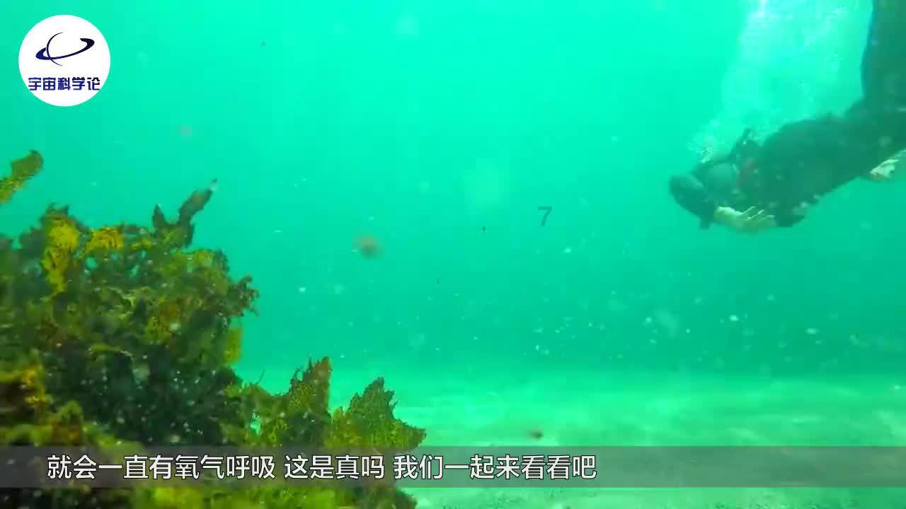 逃离惊魂鬼屋